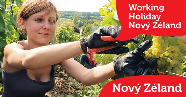 Working Holiday - Nový Zéland